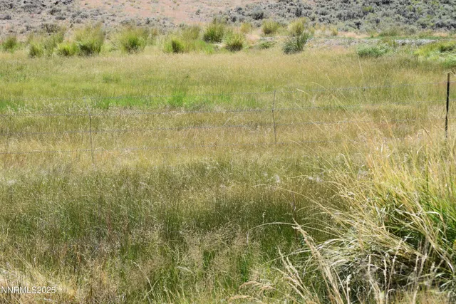 a close view of a bathroom