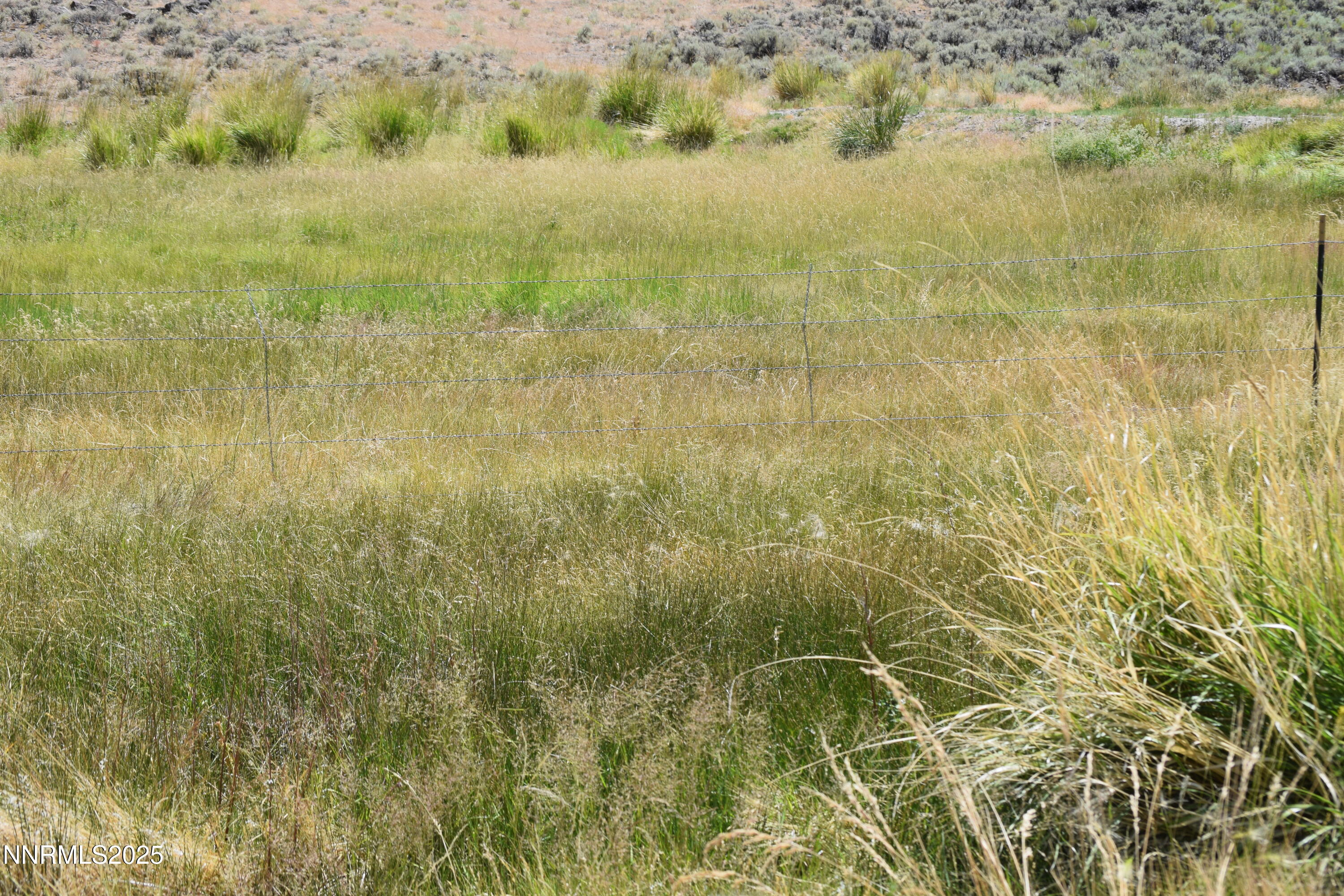 3306 High Rock Road Reno, NV 89510 - Photo 19 of 43 a view of residential space and tree