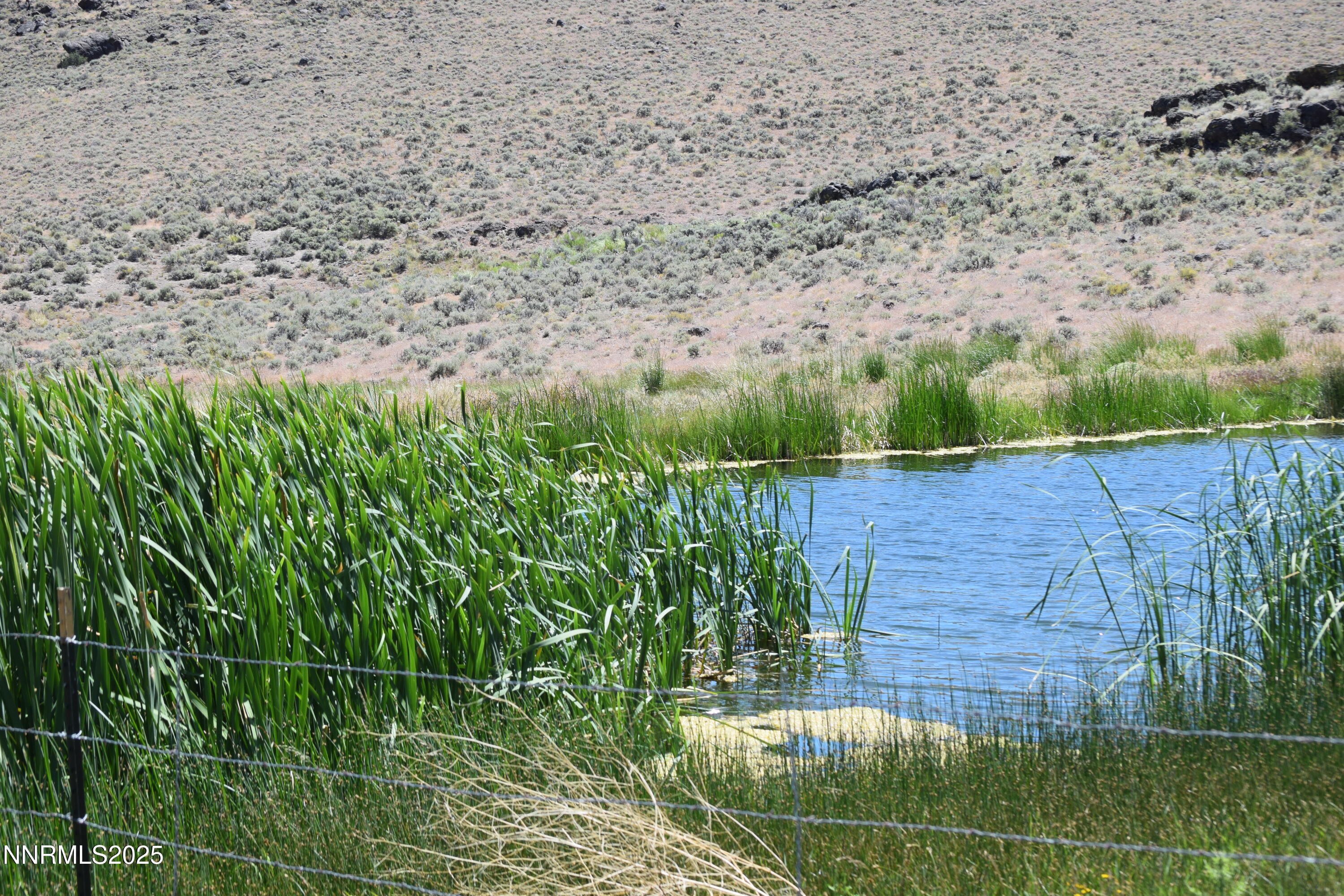 3306 High Rock Road Reno, NV 89510 - Photo 2 of 43 a view of a backyard