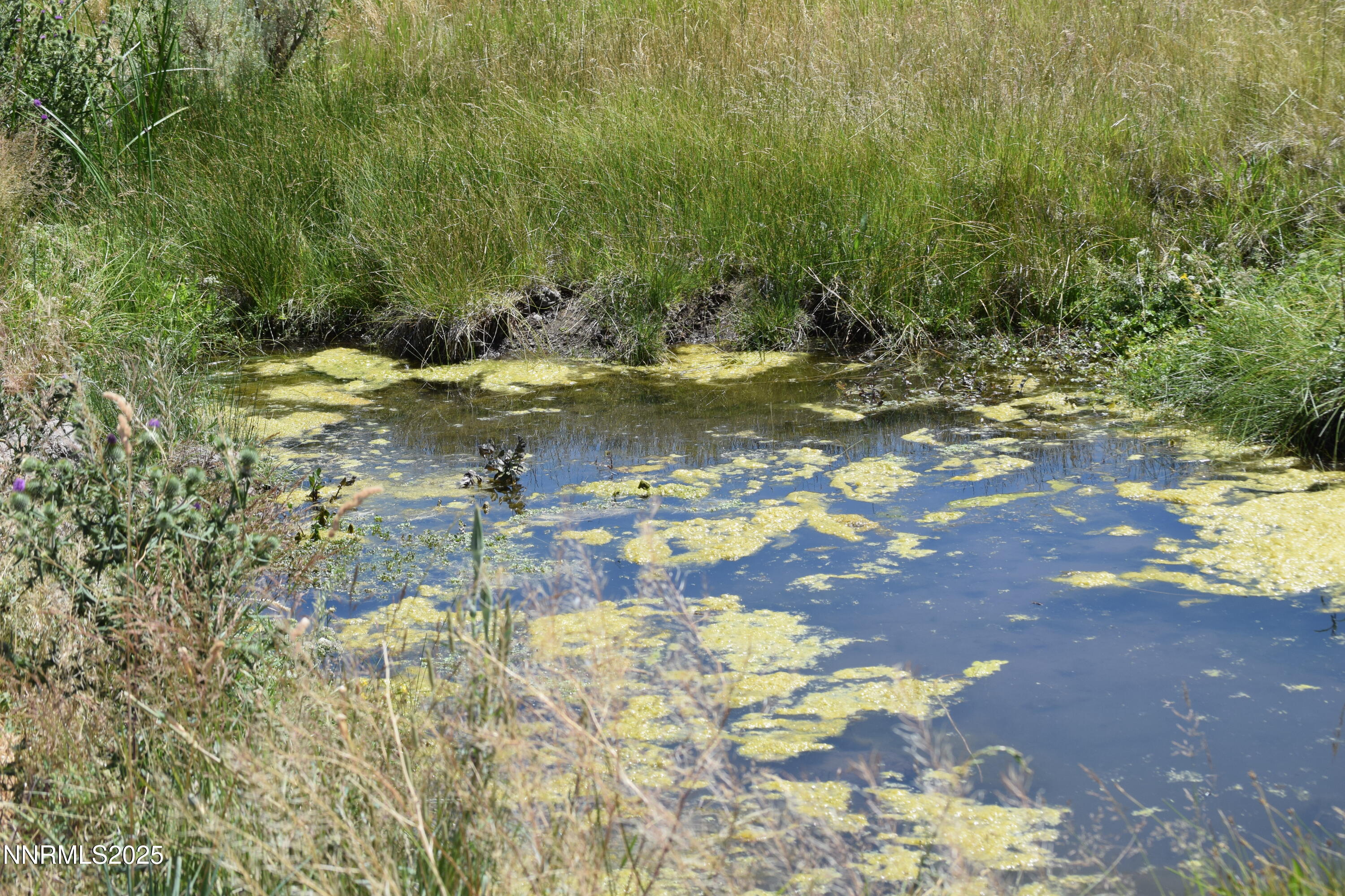 3306 High Rock Road Reno, NV 89510 - Photo 24 of 43 a view of a lake view