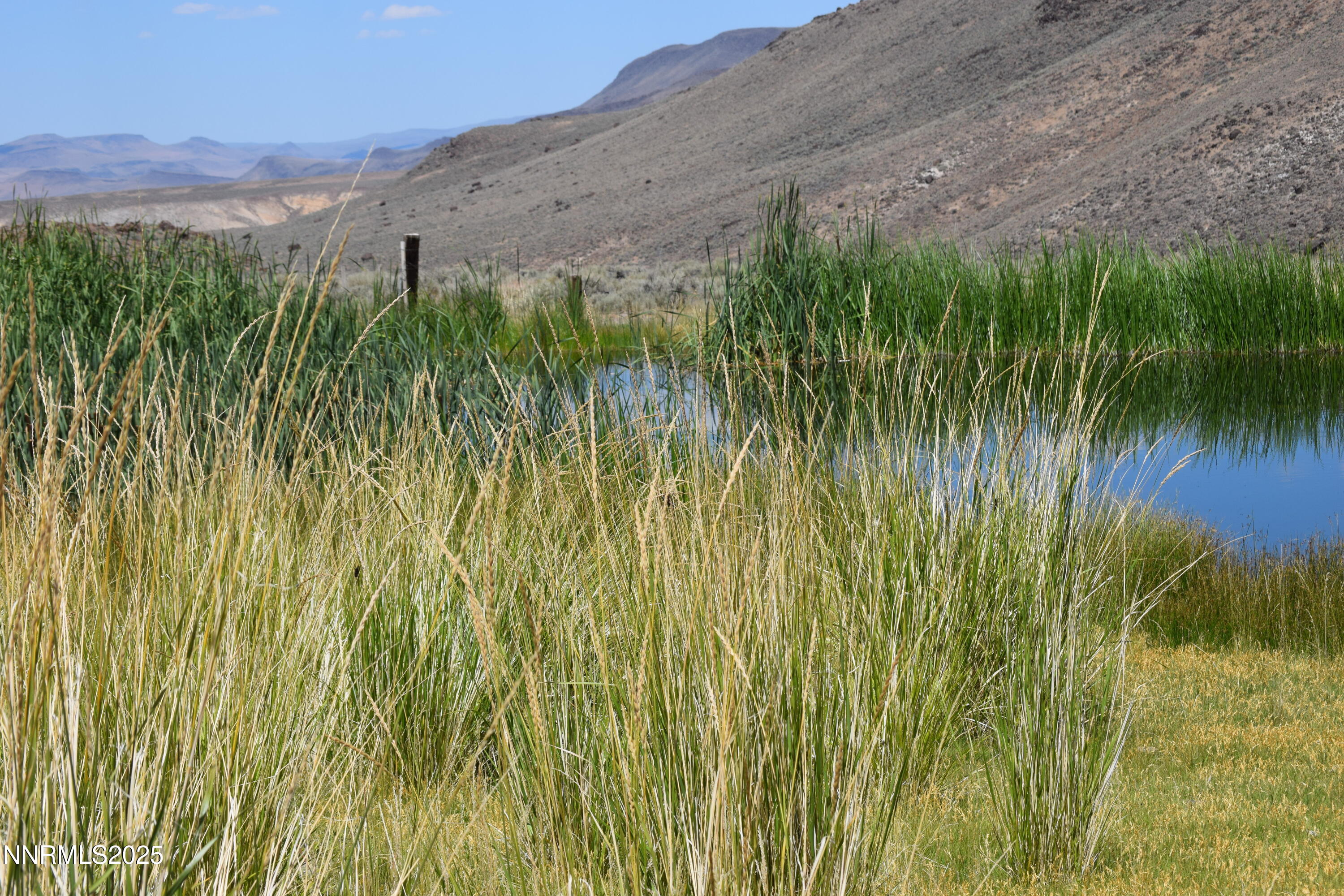 3306 High Rock Road Reno, NV 89510 - Photo 28 of 43 a view of a garden with a lake
