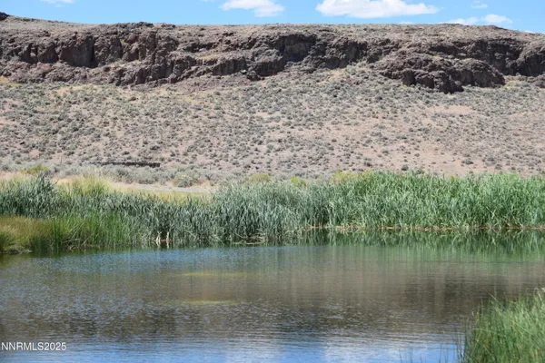 a view of a dry field with trees in the background