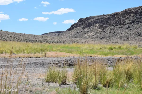 a view of a dry yard
