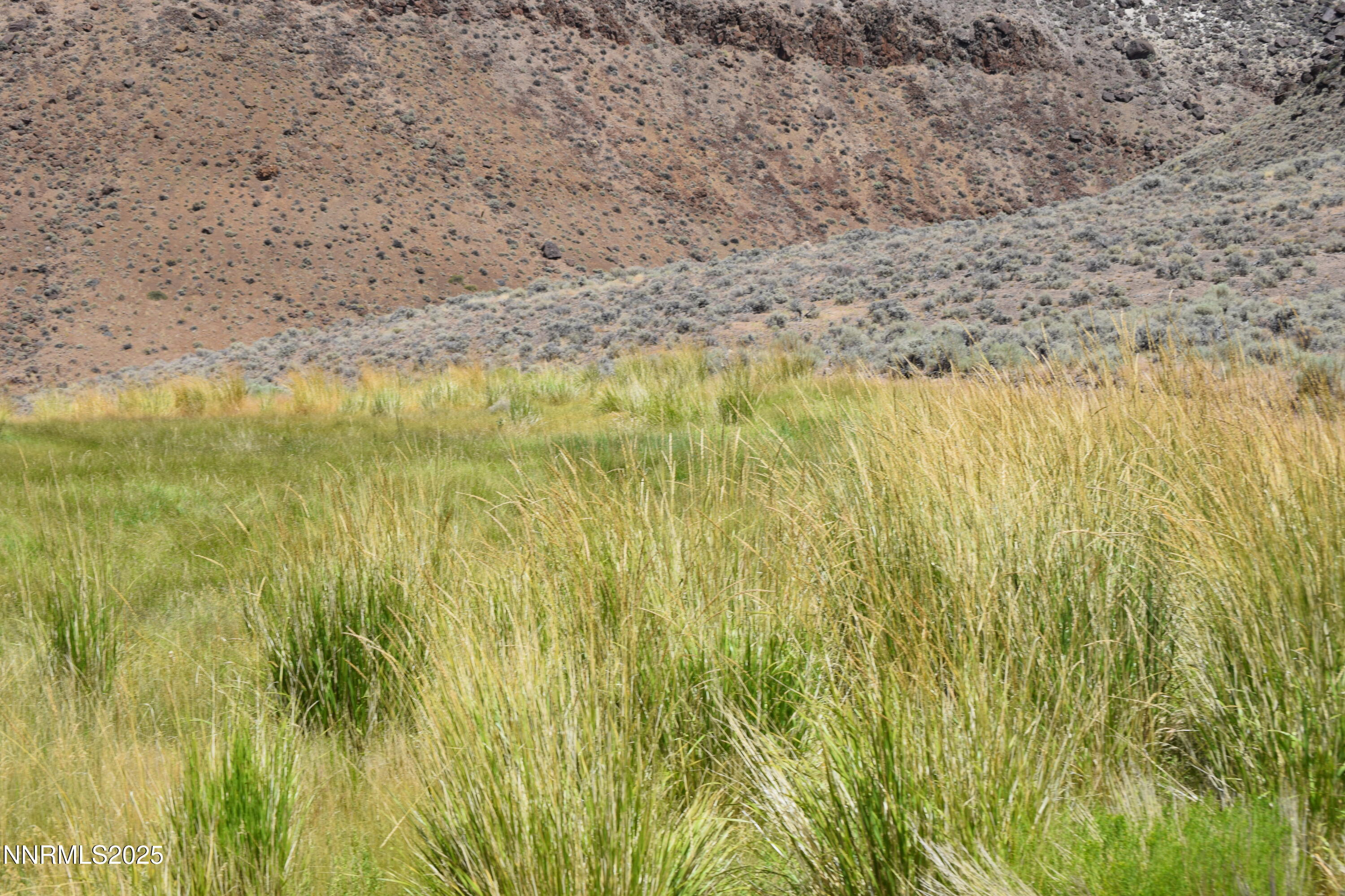 3306 High Rock Road Reno, NV 89510 - Photo 35 of 43