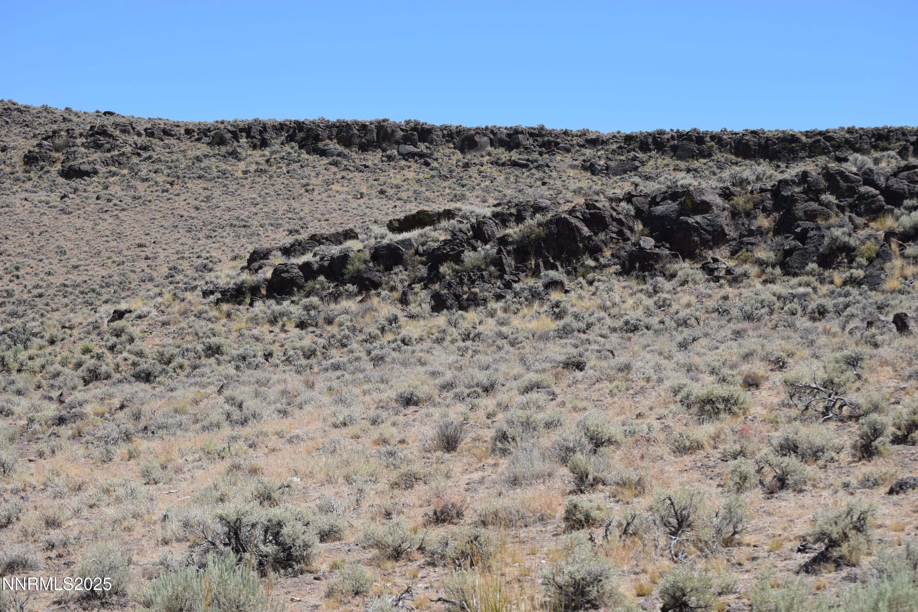 3306 High Rock Road Reno, NV 89510 - Photo 36 of 43 a view of a dry field with trees in the background