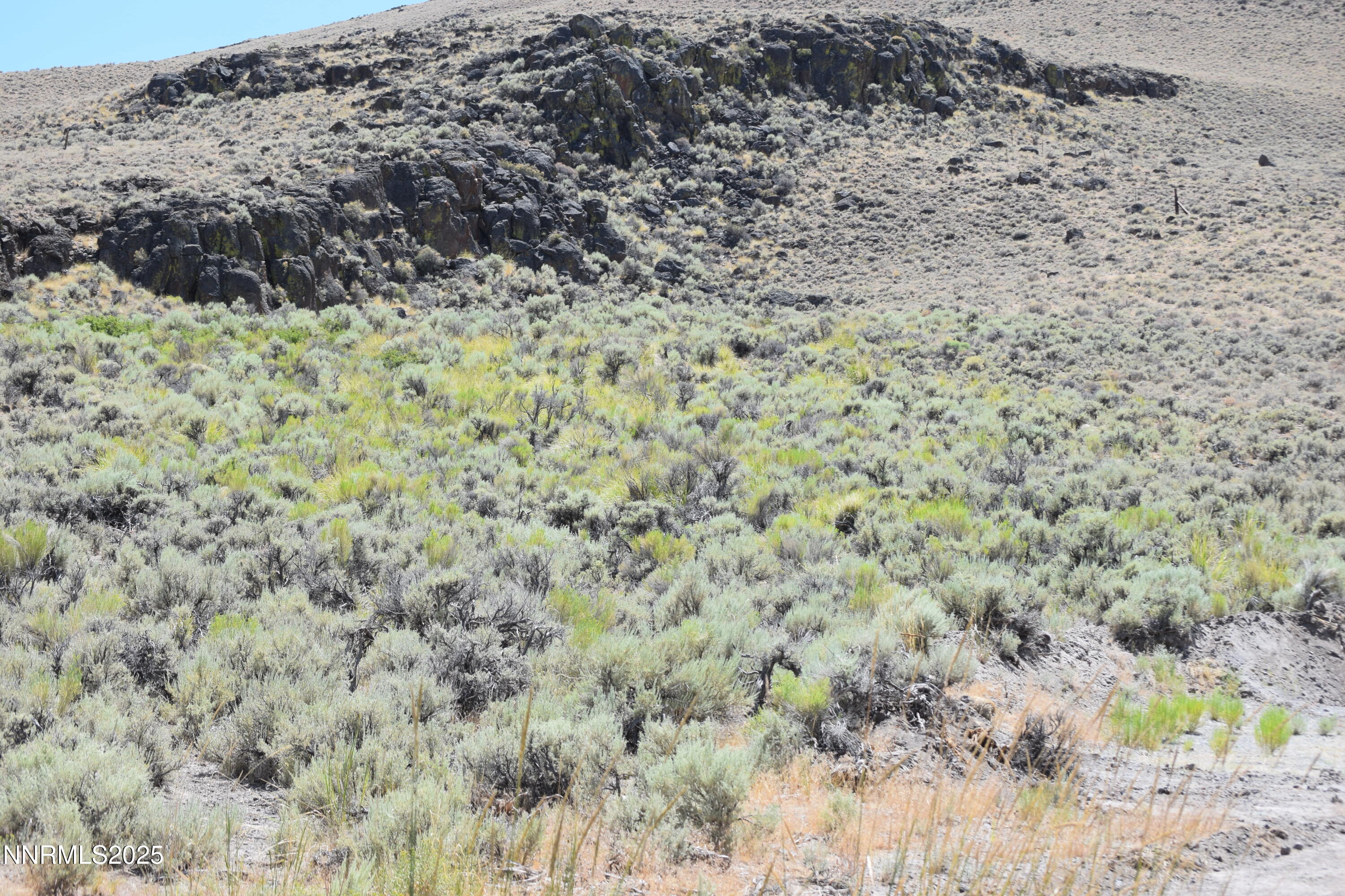 3306 High Rock Road Reno, NV 89510 - Photo 37 of 43 a view of a dry yard
