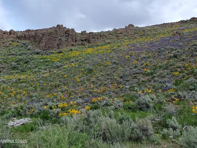 a view of a lush green field