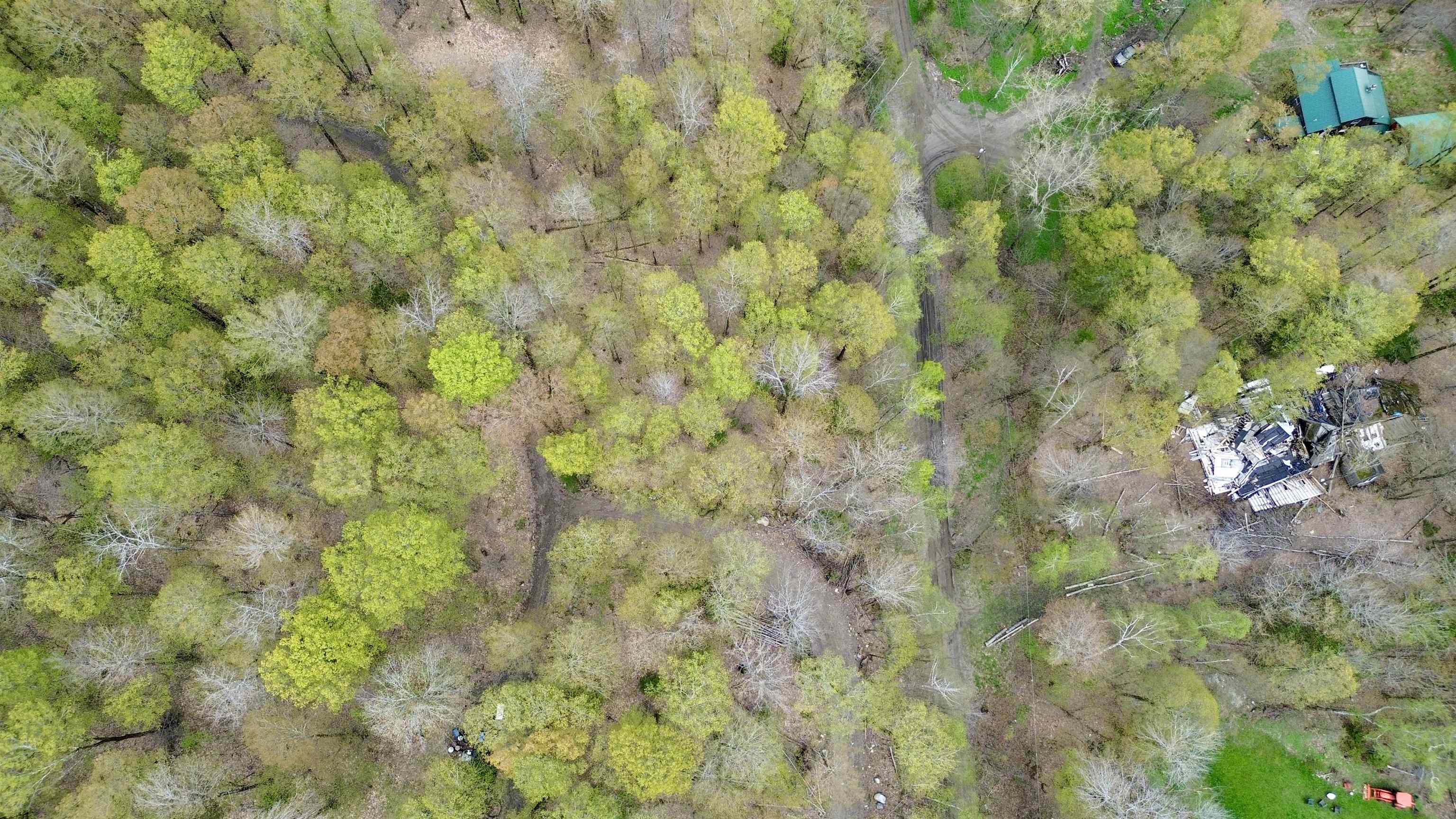220 Middle Road Chittenden, VT 05763 - Photo 18 of 22