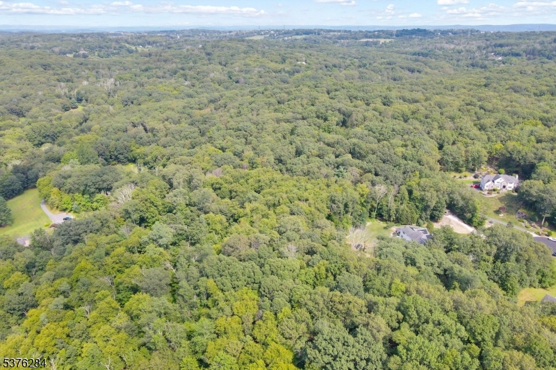 51 Paulinskill Lake Road Newton, NJ 07860 - Photo 11 of 14