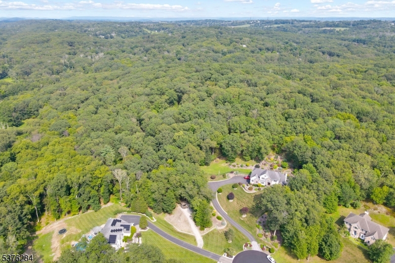 51 Paulinskill Lake Road Newton, NJ 07860 - Photo 12 of 14 a view of a field with an trees