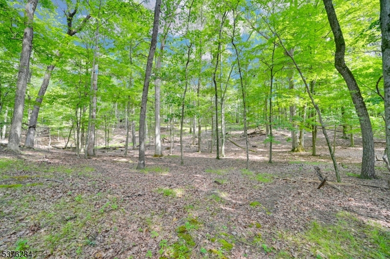 51 Paulinskill Lake Road Newton, NJ 07860 - Photo 5 of 14 a view of outdoor space with trees