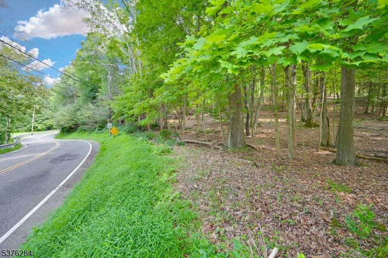 51 Paulinskill Lake Road Newton, NJ 07860 - Photo 6 of 14 a view of a park with large trees