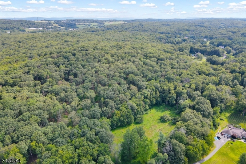 51 Paulinskill Lake Road Newton, NJ 07860 - Photo 10 of 14 a view of a lush green forest with trees and houses