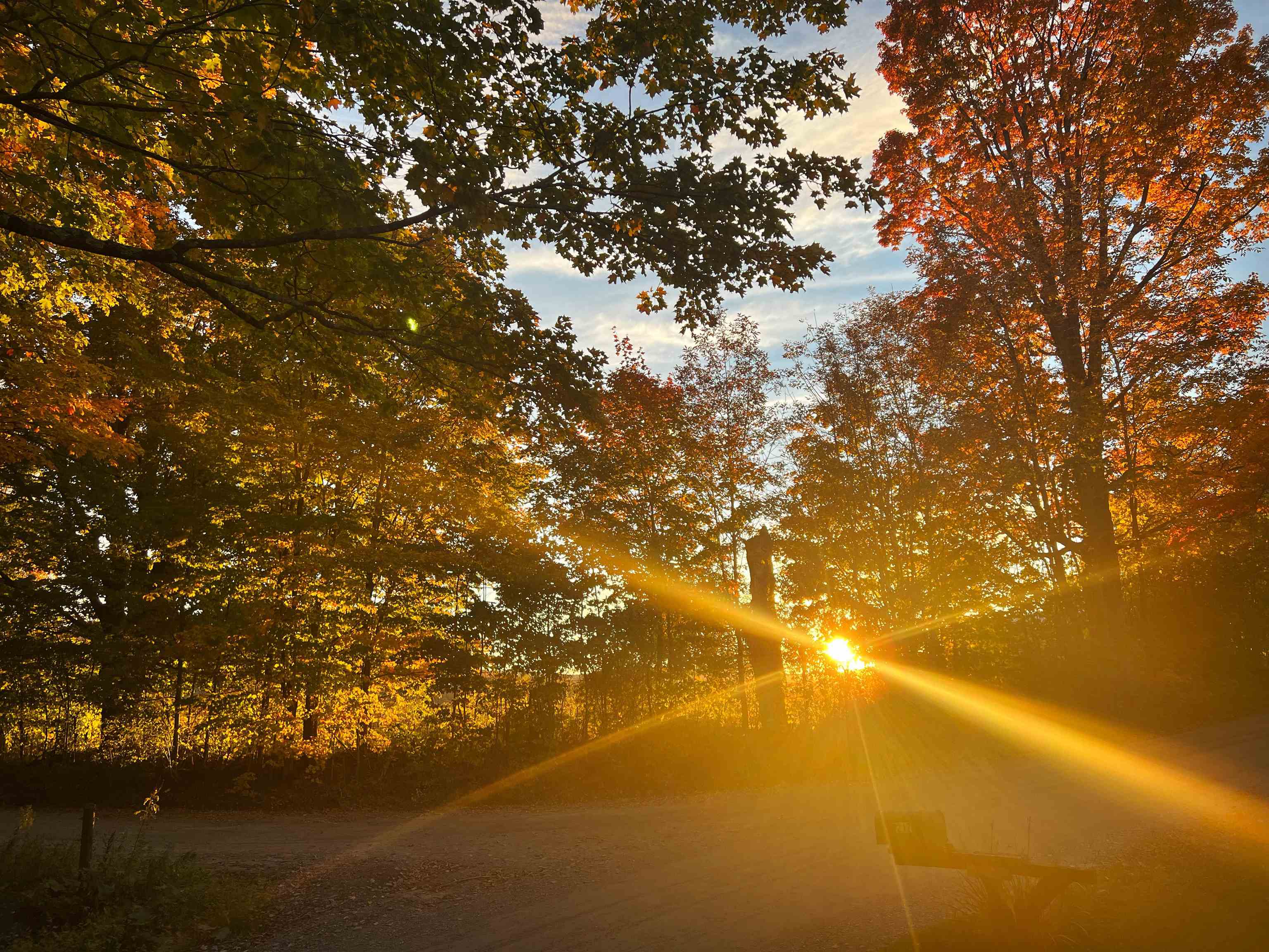 1217 Turkey Hill Road Corinth, VT 05039 - Photo 54 of 54