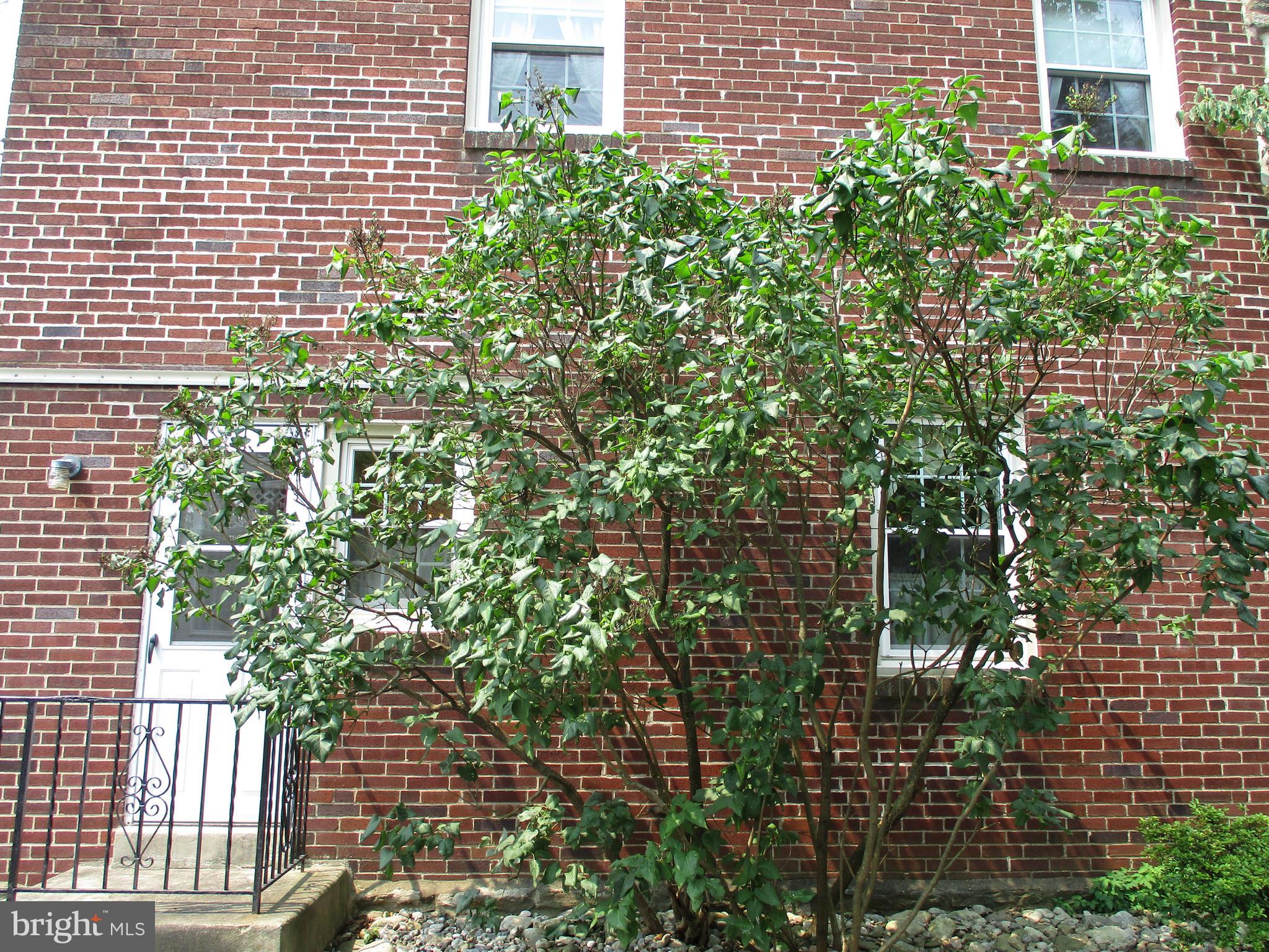 1426 Wynnewood Road Ardmore, PA 19003 - Photo 43 of 50 Gallery Image 43