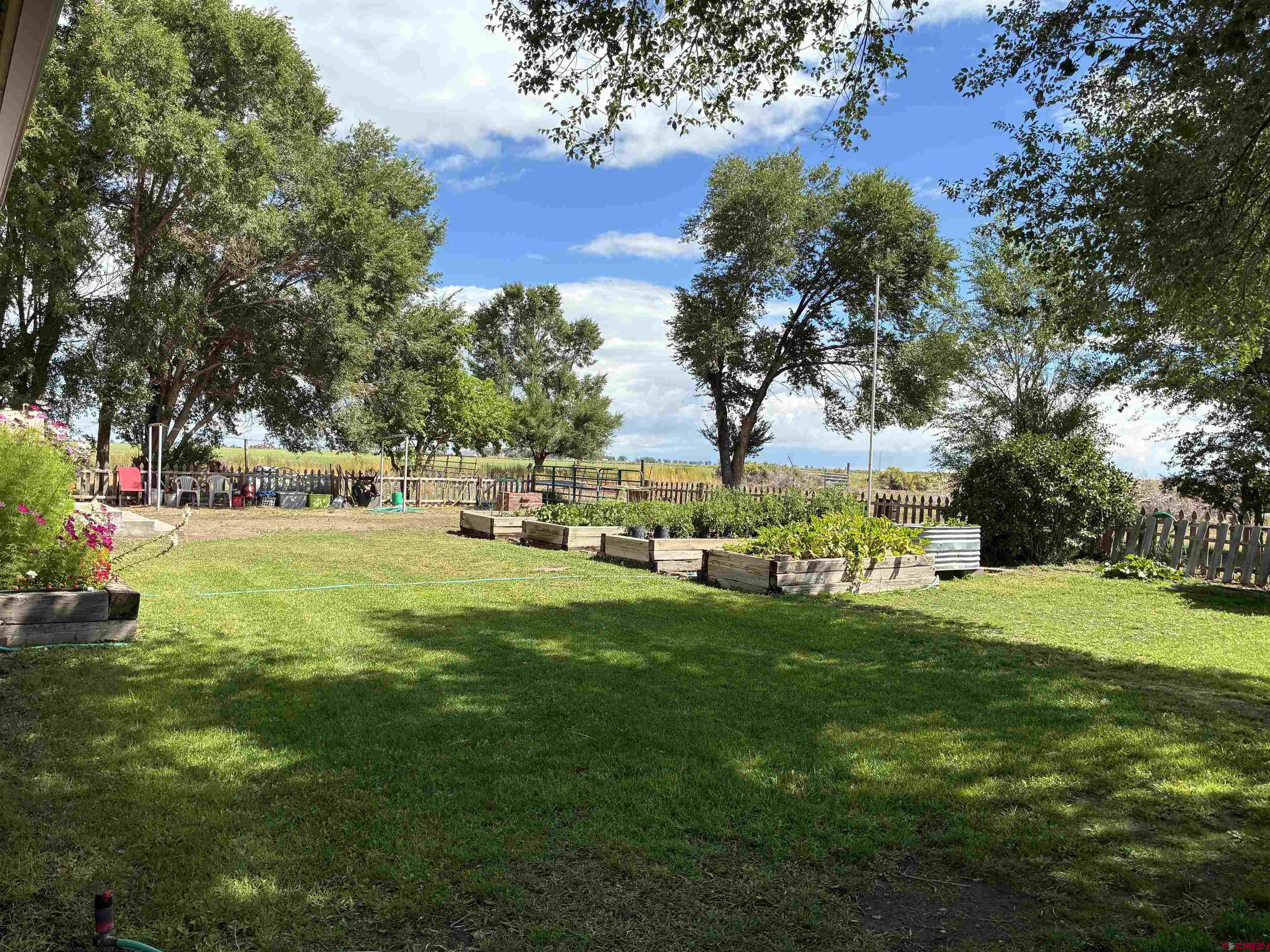 20806 County Road West Sanford, CO 81151 - Photo 5 of 24 a view of a park with large trees