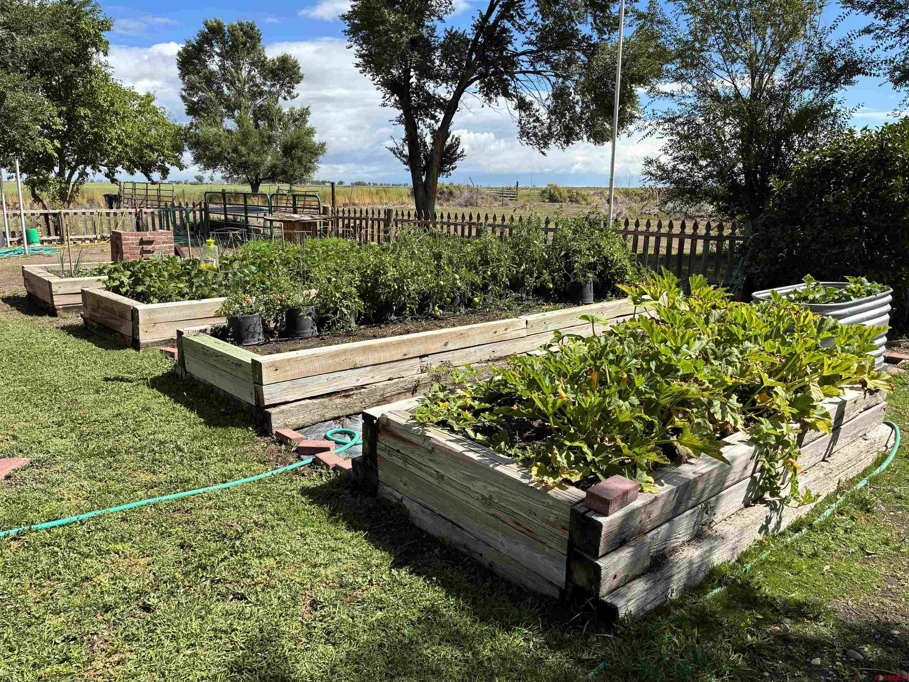 20806 County Road West Sanford, CO 81151 - Photo 6 of 24 a view of a garden with an outdoor seating