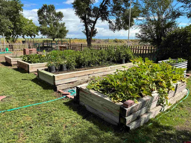 a view of a garden with an outdoor seating