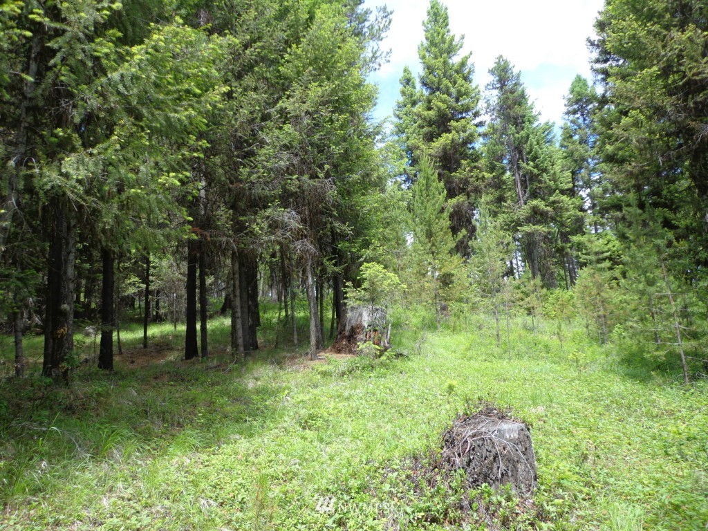 -tbd Gardner Creek Road Republic, WA 99166 - Photo 11 of 22 a view of backyard with green space