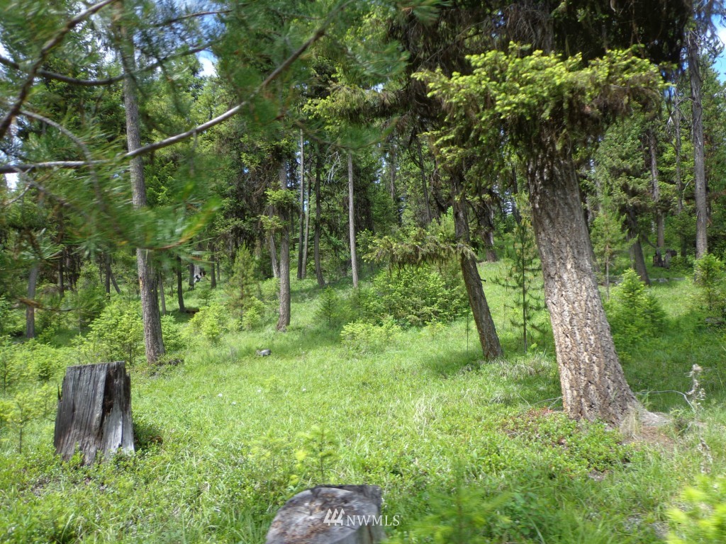 -tbd Gardner Creek Road Republic, WA 99166 - Photo 13 of 22 a backyard of a house with lots of green space