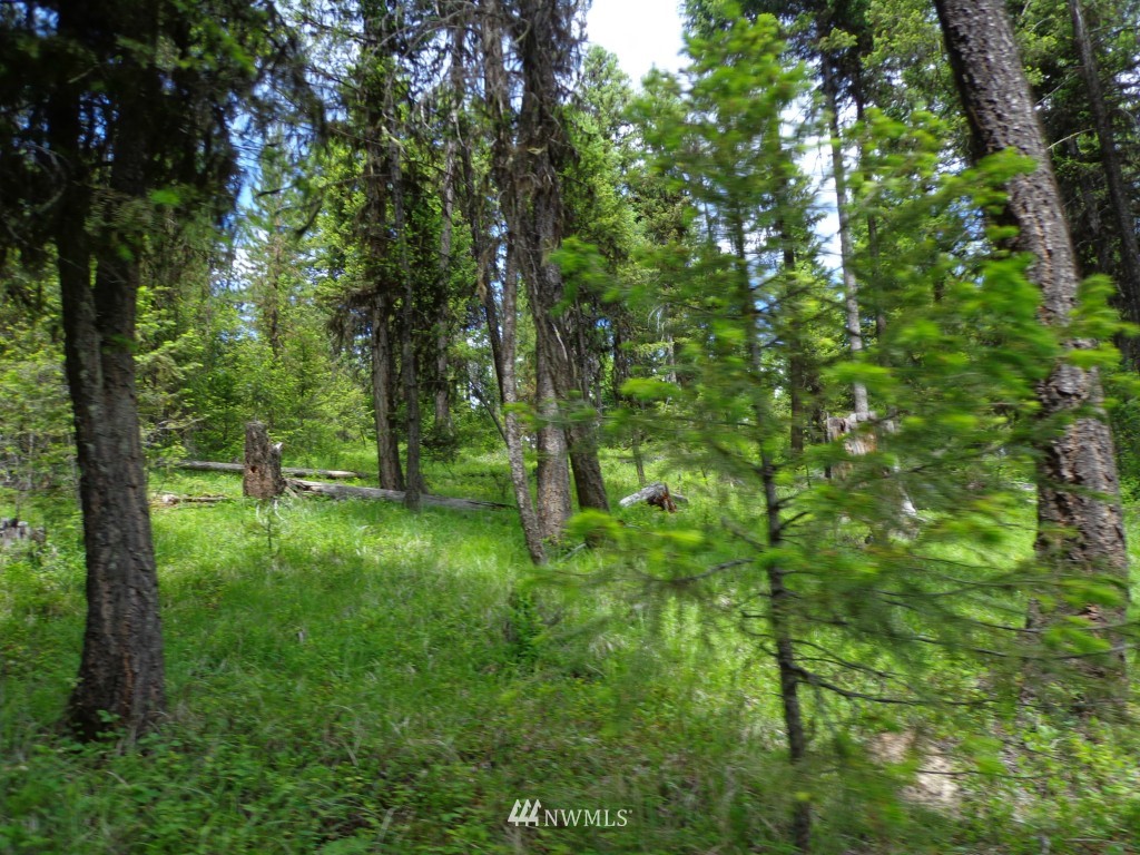 -tbd Gardner Creek Road Republic, WA 99166 - Photo 15 of 22 a green field with lots of trees