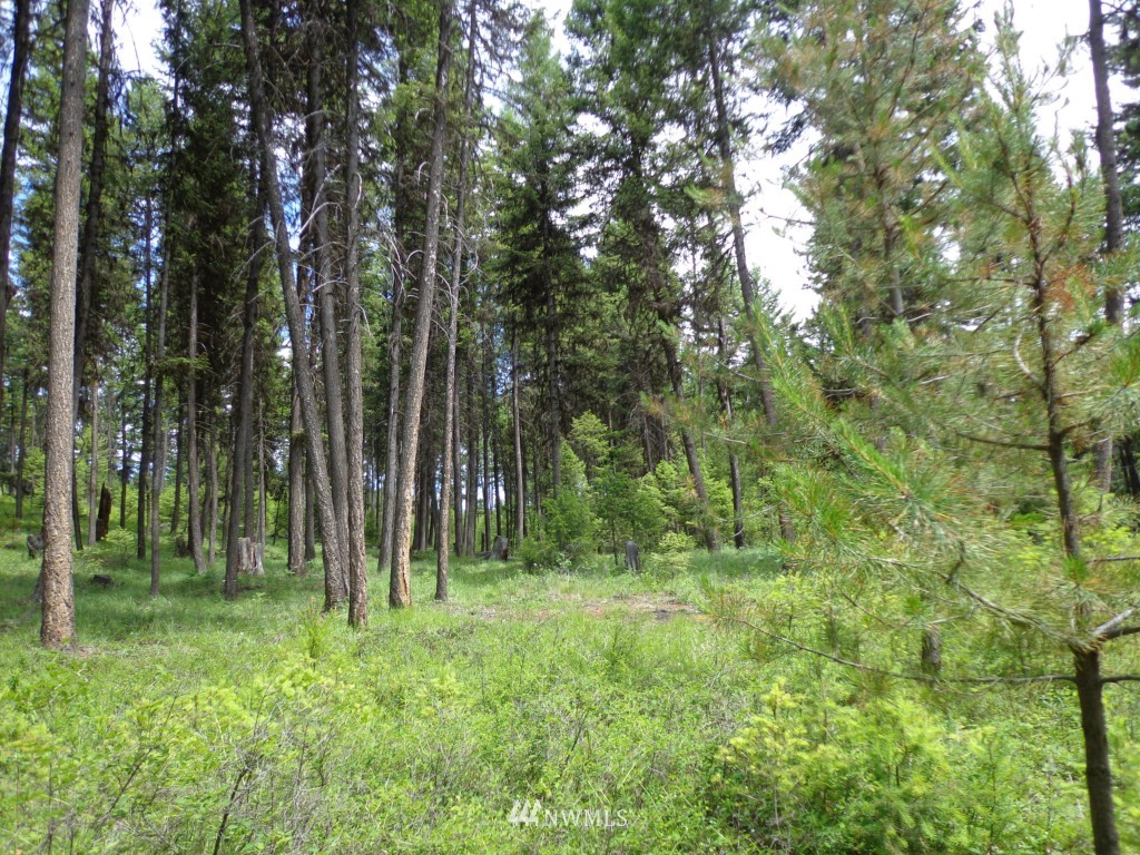 -tbd Gardner Creek Road Republic, WA 99166 - Photo 19 of 22 a view of outdoor space and green space