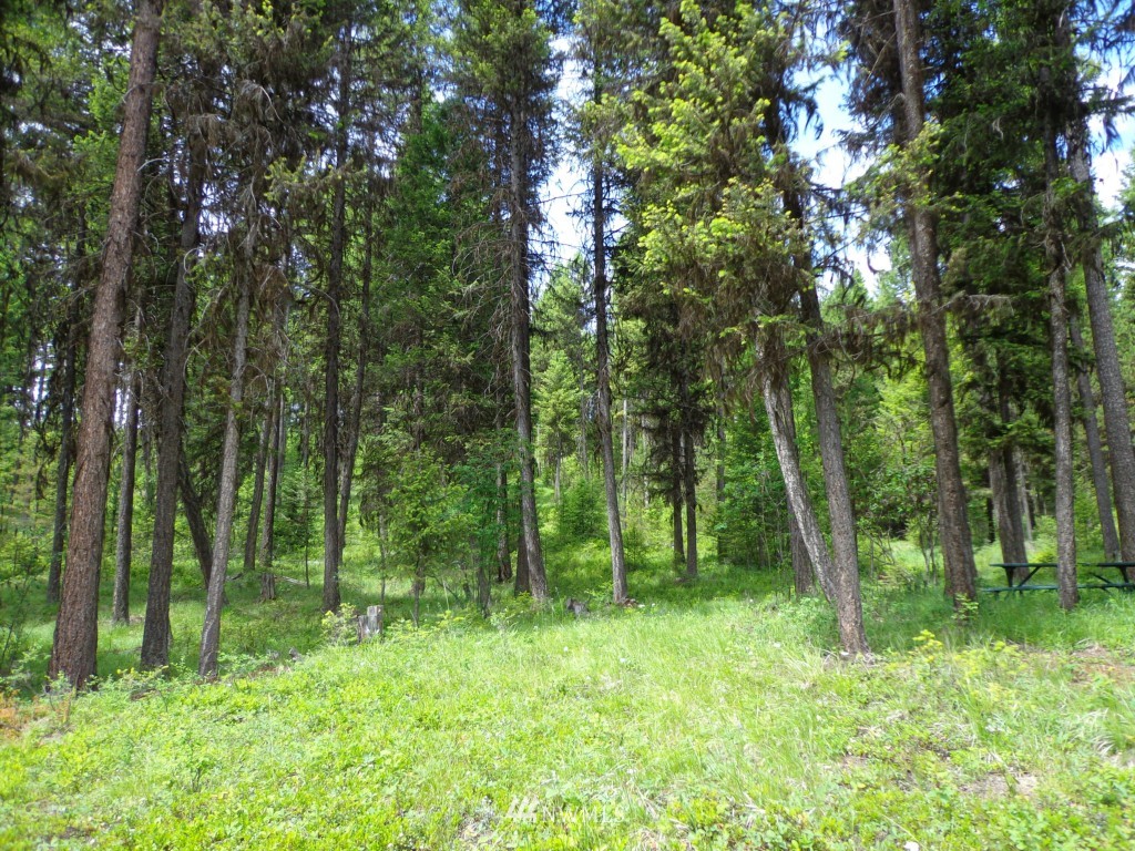 -tbd Gardner Creek Road Republic, WA 99166 - Photo 20 of 22 a view of outdoor space and green space