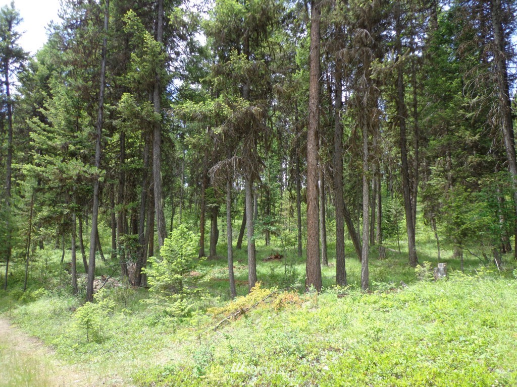-tbd Gardner Creek Road Republic, WA 99166 - Photo 21 of 22 a view of outdoor space and green space