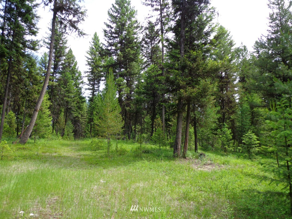 -tbd Gardner Creek Road Republic, WA 99166 - Photo 22 of 22 a backyard of a house with lots of green space