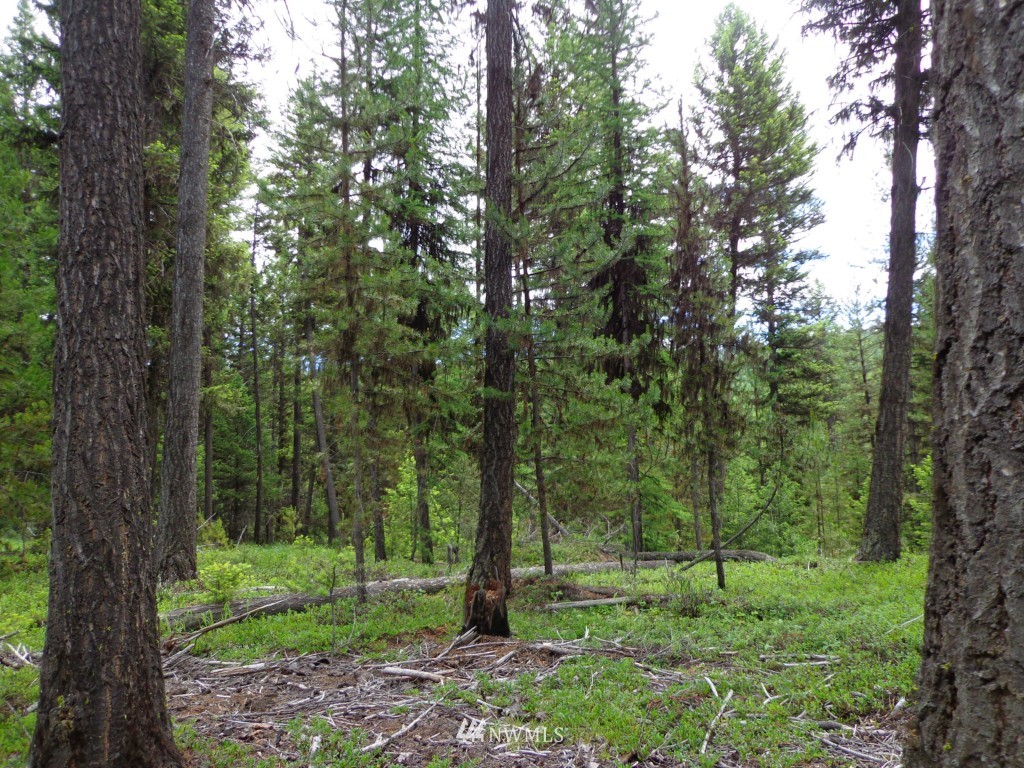 -tbd Gardner Creek Road Republic, WA 99166 - Photo 5 of 22 a view of outdoor space and green space