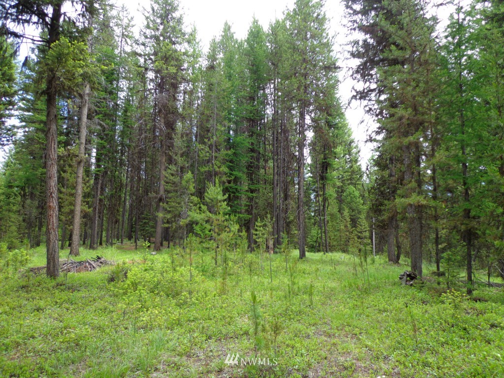 -tbd Gardner Creek Road Republic, WA 99166 - Photo 6 of 22 a view of outdoor space and green space