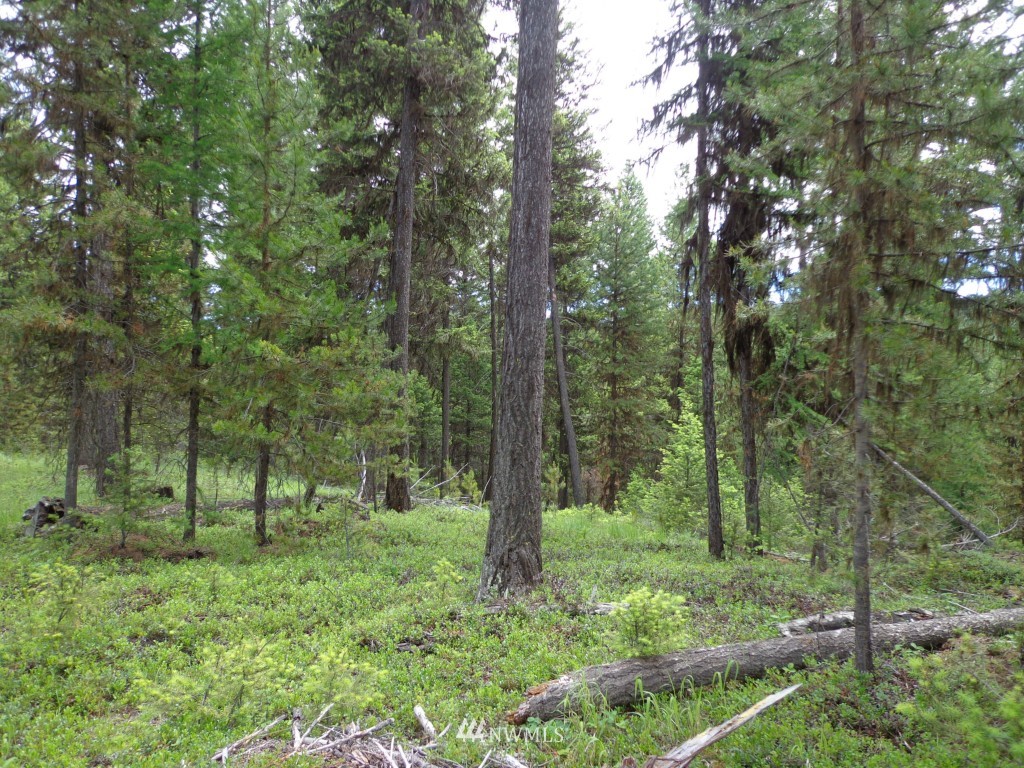 -tbd Gardner Creek Road Republic, WA 99166 - Photo 7 of 22 a view of outdoor space and green space