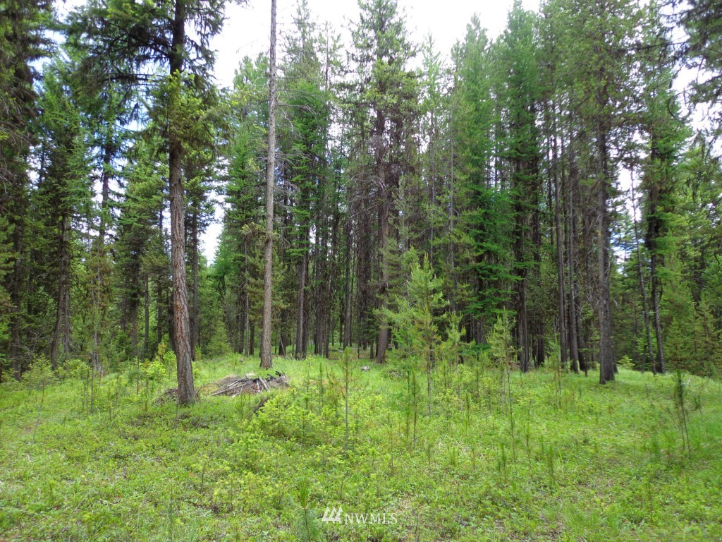 -tbd Gardner Creek Road Republic, WA 99166 - Photo 8 of 22 a view of outdoor space and green space