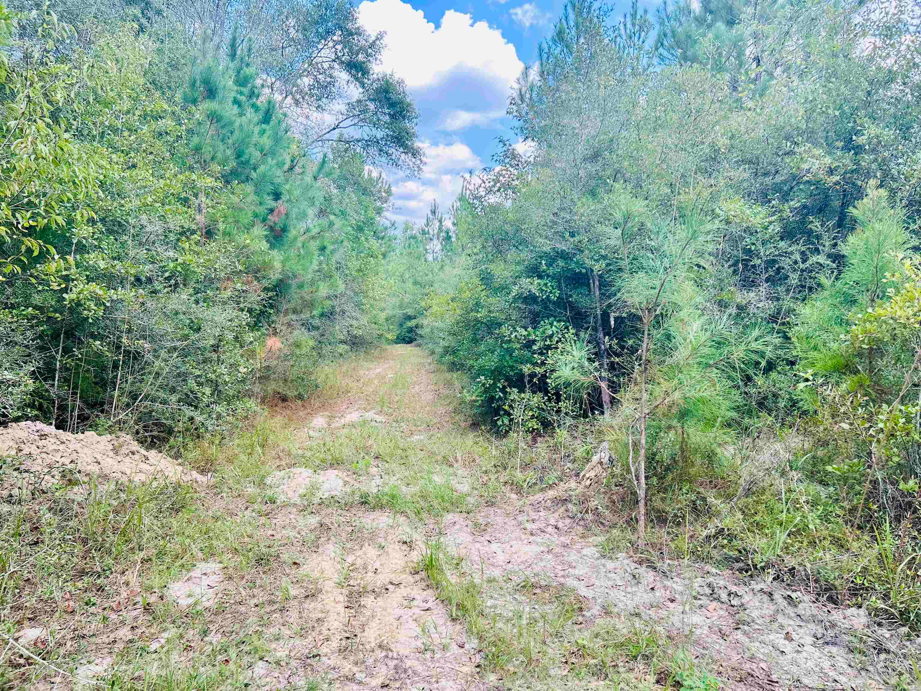 Babbie Road Andalusia, AL 36421 - Photo 3 of 15 Gallery Image 3