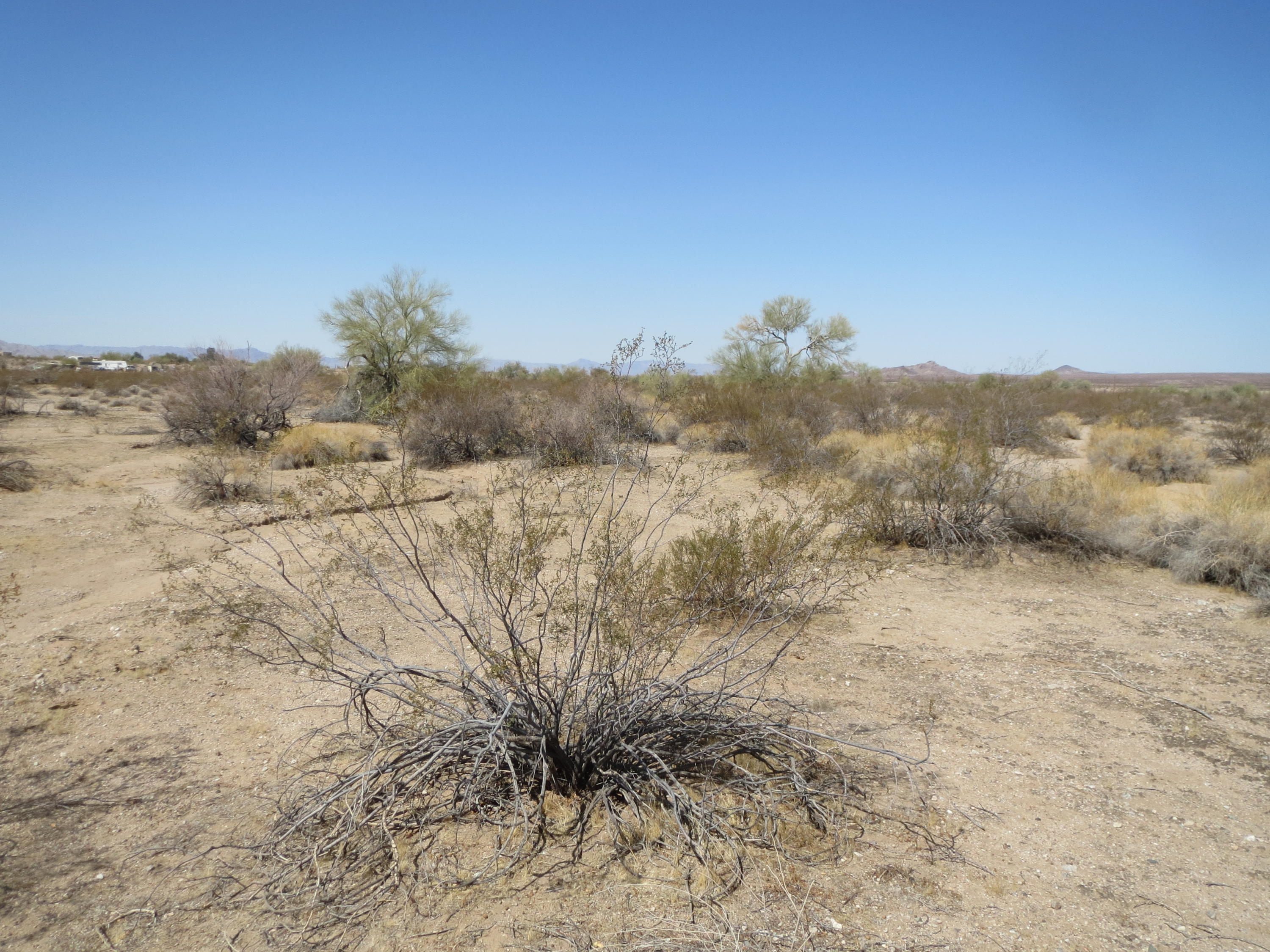 Lot 46 Rio Vista Topock, AZ 86436 - Photo 1 of 8 IMG_6336