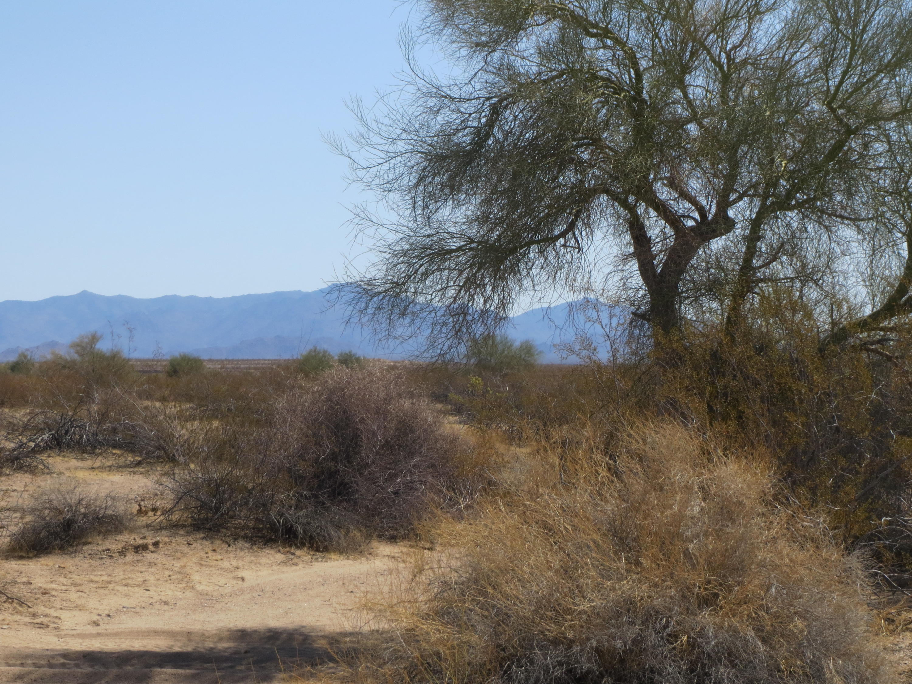 Lot 46 Rio Vista Topock, AZ 86436 - Photo 7 of 8 IMG_6342