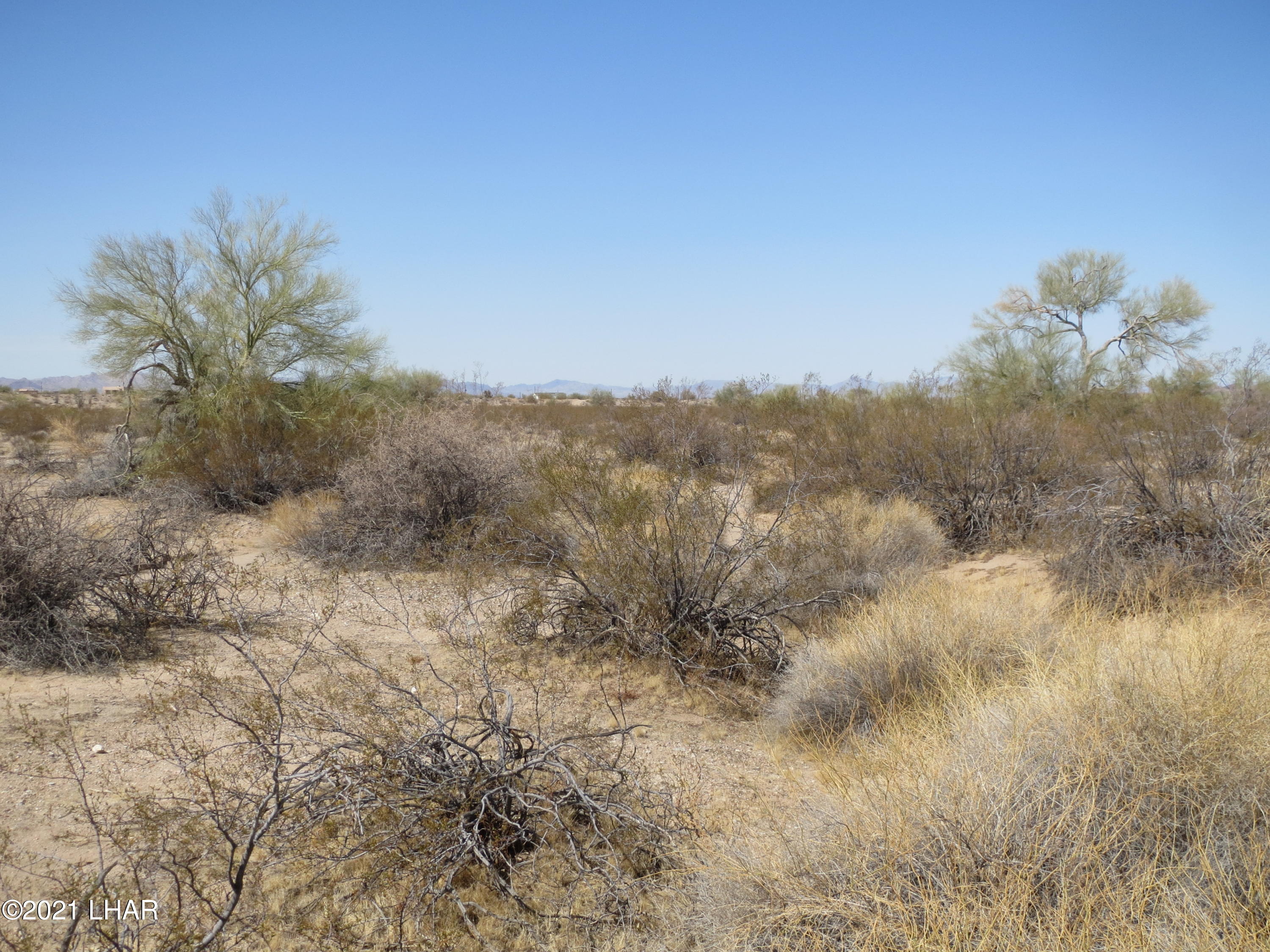 Lot 46 Rio Vista Topock, AZ 86436 - Photo 8 of 8 IMG_6344