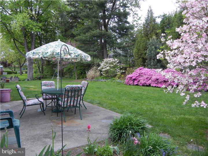 704 Blue Hill Road Wallingford, PA 19086 - Photo 22 of 25 Patio