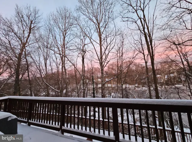 a view of trees and outdoor space