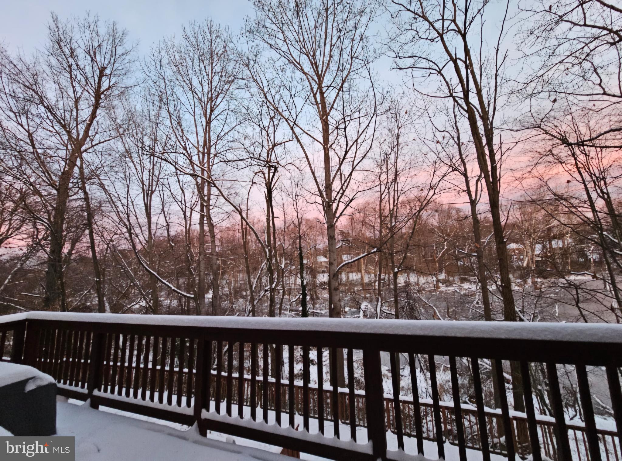 4657 Deepwood Court, Unit 106A Bowie, MD 20720 - Photo 17 of 29 a view of trees and outdoor space