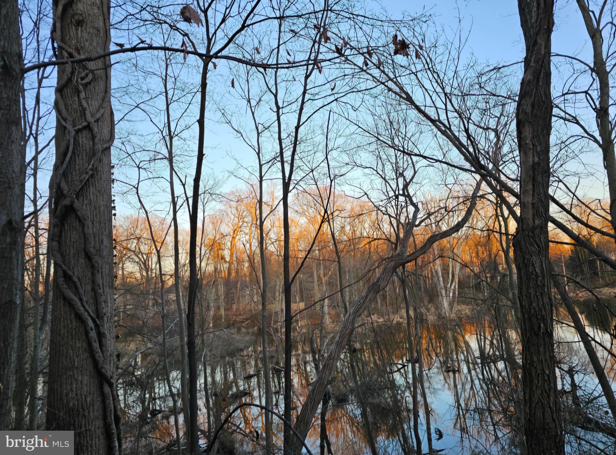 4657 Deepwood Court, Unit 106A Bowie, MD 20720 - Photo 22 of 29 not sure