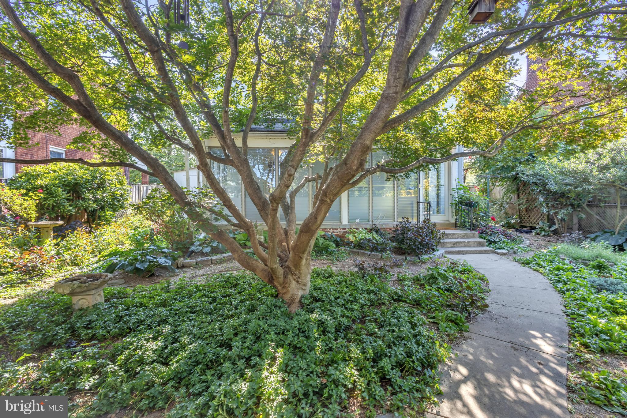 9410 Colesville Road Silver Spring, MD 20901 - Photo 2 of 38 Walkway from the carport to the back door entrance