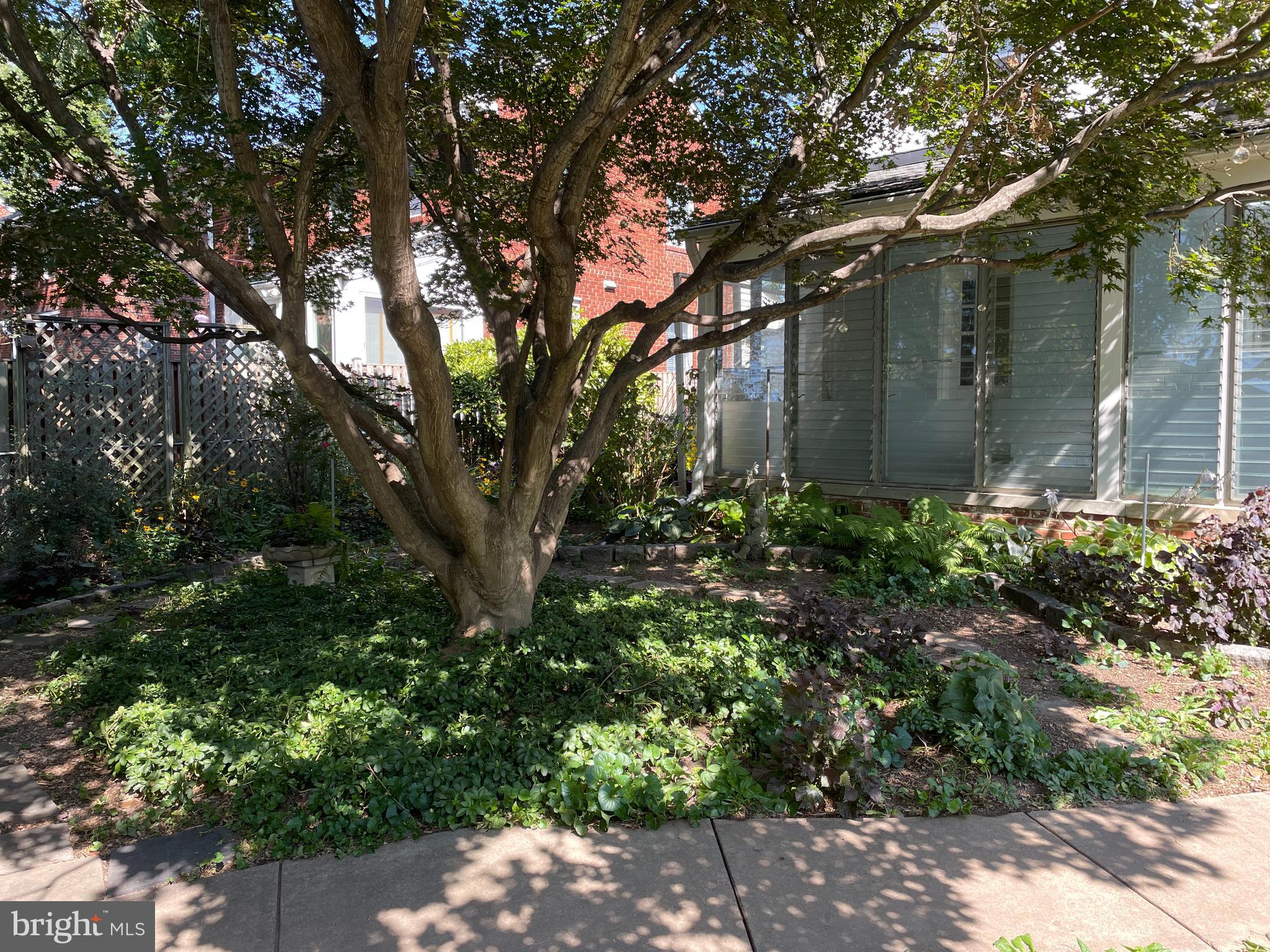 9410 Colesville Road Silver Spring, MD 20901 - Photo 33 of 38 Private backyard