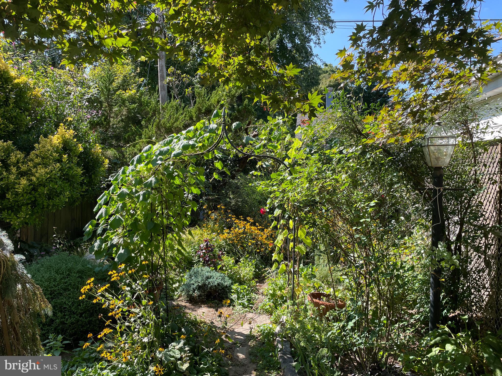 9410 Colesville Road Silver Spring, MD 20901 - Photo 34 of 38 Lush perenial gardens