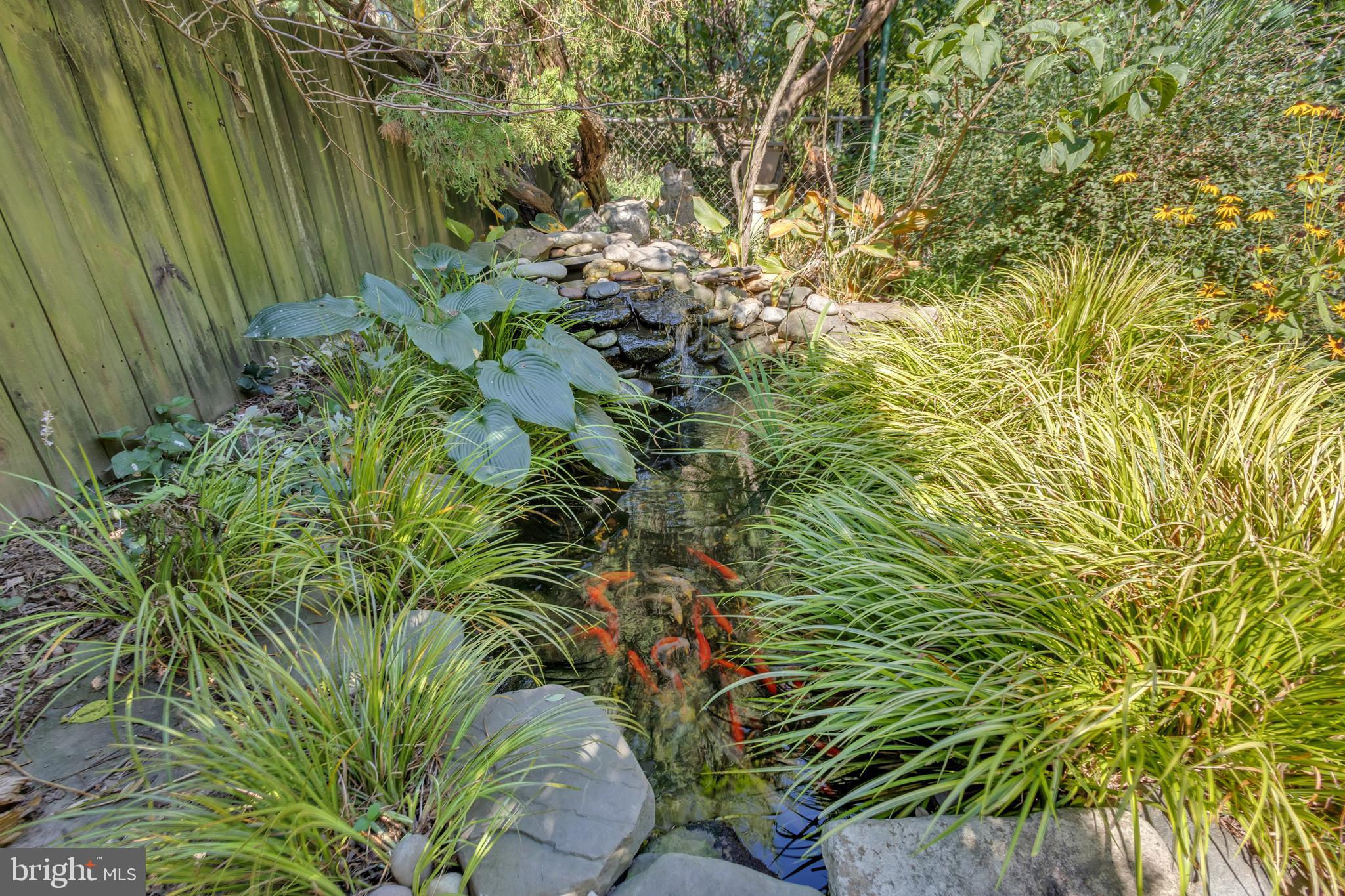 9410 Colesville Road Silver Spring, MD 20901 - Photo 35 of 38 Fish pond and water feature