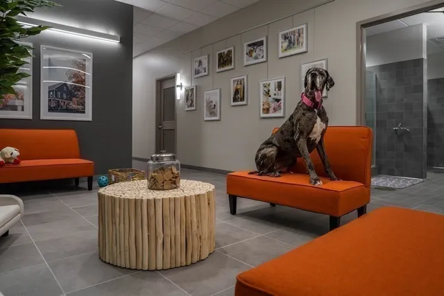 a swimming pool with outdoor seating