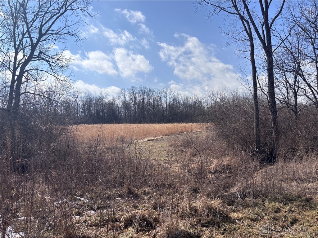 924 Eris Road Urbana, OH 43078 - Photo 19 of 63