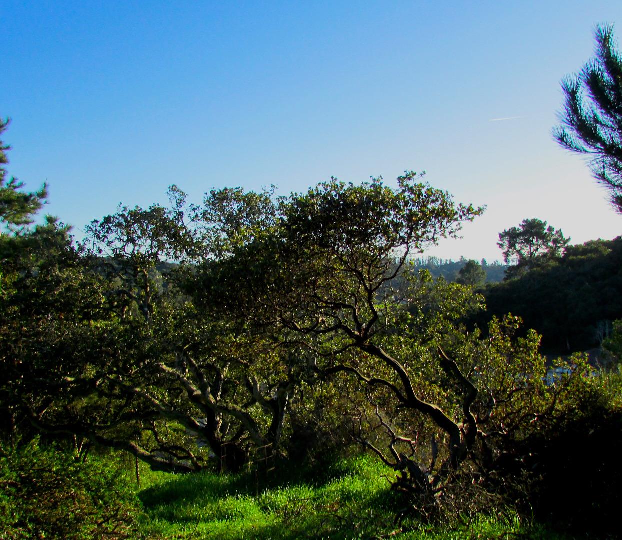 18745 Moro Road Salinas, CA 93907 - Photo 21 of 22 Gallery Image 21