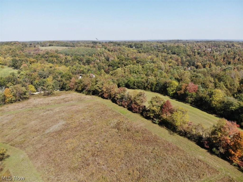 9300 Hidden Springs Road Hopewell, OH 43746 - Photo 6 of 14 Gallery Image 6