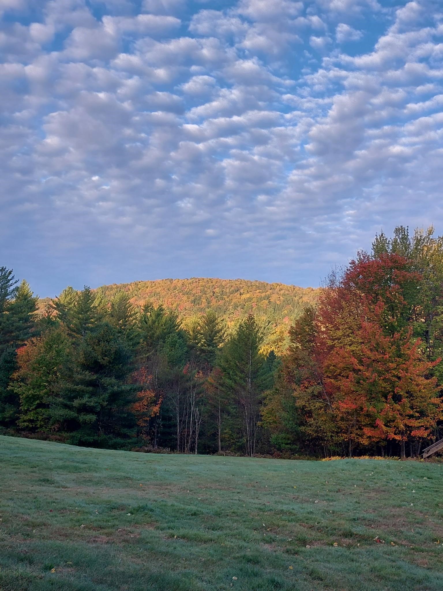 903 Witchcat Road Bakersfield, VT 05450 - Photo 60 of 60 Gallery Image 60